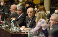 Foto de la galería: Legisladores sancionaron la ley de fomento de producción del jengibre misionero