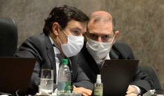 Foto de la galería: Legisladores sancionaron la ley de fomento de producción del jengibre misionero