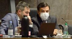 Foto de la galería: Legisladores sancionaron la ley de fomento de producción del jengibre misionero