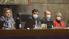 Foto de la galería: Legisladores sancionaron la ley de fomento de producción del jengibre misionero