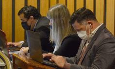 Foto de la galería: Legisladores sancionaron la ley de fomento de producción del jengibre misionero