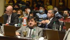 Foto de la galería: Legisladores sancionaron la ley de fomento de producción del jengibre misionero