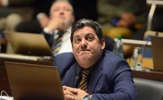 Foto de la galería: Legisladores sancionaron la ley de fomento de producción del jengibre misionero