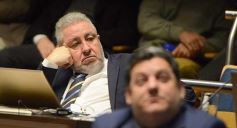 Foto de la galería: Legisladores sancionaron la ley de fomento de producción del jengibre misionero