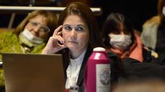 Foto de la galería: Legisladores sancionaron la ley de fomento de producción del jengibre misionero