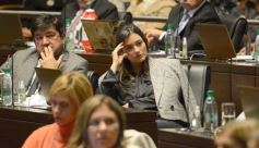 Foto de la galería: Legisladores sancionaron la ley de fomento de producción del jengibre misionero