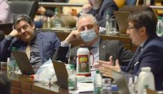 Foto de la galería: Legisladores sancionaron la ley de fomento de producción del jengibre misionero