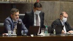 Foto de la galería: Legisladores sancionaron la ley de fomento de producción del jengibre misionero