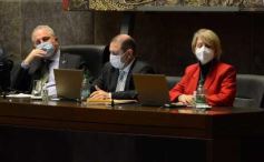 Foto de la galería: Legisladores sancionaron la ley de fomento de producción del jengibre misionero