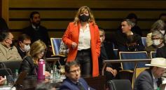 Foto de la galería: Legisladores sancionaron la ley de fomento de producción del jengibre misionero