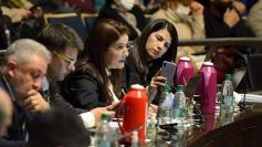 Foto de la galería: Legisladores sancionaron la ley de fomento de producción del jengibre misionero