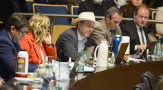 Foto de la galería: Legisladores sancionaron la ley de fomento de producción del jengibre misionero