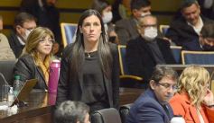 Foto de la galería: Legisladores sancionaron la ley de fomento de producción del jengibre misionero