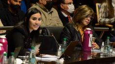 Foto de la galería: Legisladores sancionaron la ley de fomento de producción del jengibre misionero