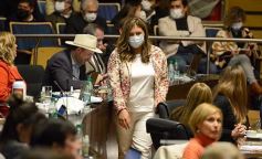 Foto de la galería: Legisladores sancionaron la ley de fomento de producción del jengibre misionero