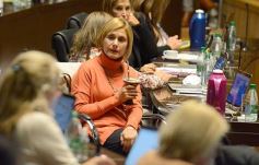 Foto de la galería: Legisladores sancionaron la ley de fomento de producción del jengibre misionero