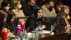 Foto de la galería: Legisladores sancionaron la ley de fomento de producción del jengibre misionero