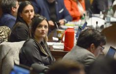 Foto de la galería: Legisladores sancionaron la ley de fomento de producción del jengibre misionero