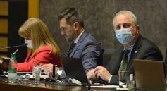 Foto de la galería: Legisladores sancionaron la ley de fomento de producción del jengibre misionero