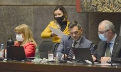 Foto de la galería: Legisladores sancionaron la ley de fomento de producción del jengibre misionero