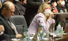 Foto de la galería: Legisladores sancionaron la ley de fomento de producción del jengibre misionero