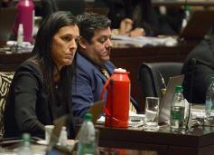 Foto de la galería: Legisladores sancionaron la ley de fomento de producción del jengibre misionero