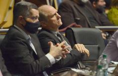 Foto de la galería: Legisladores sancionaron la ley de fomento de producción del jengibre misionero