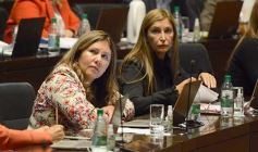 Foto de la galería: Legisladores sancionaron la ley de fomento de producción del jengibre misionero