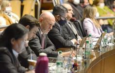 Foto de la galería: Legisladores sancionaron la ley de fomento de producción del jengibre misionero