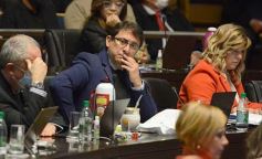 Foto de la galería: Legisladores sancionaron la ley de fomento de producción del jengibre misionero