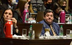 Foto de la galería: Legisladores sancionaron la ley de fomento de producción del jengibre misionero