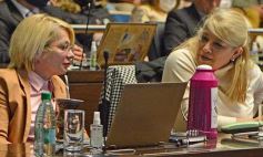 Foto de la galería: Legisladores sancionaron la ley de fomento de producción del jengibre misionero