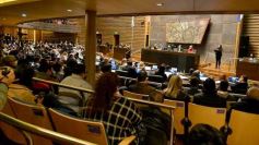 Foto de la galería: Legisladores sancionaron la ley de fomento de producción del jengibre misionero