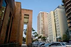 Foto de la galería: Legisladores sancionaron la ley de fomento de producción del jengibre misionero