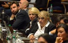 Foto de la galería: Legislatura en sesión: Diputados declararon Monumento Natural Provincial al Vencejo de Cascada