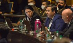 Foto de la galería: Legislatura en sesión: Diputados declararon Monumento Natural Provincial al Vencejo de Cascada