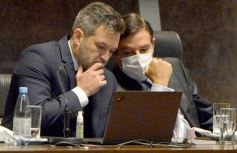 Foto de la galería: Legislatura en sesión: Diputados declararon Monumento Natural Provincial al Vencejo de Cascada