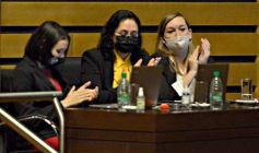 Foto de la galería: Legislatura en sesión: Diputados declararon Monumento Natural Provincial al Vencejo de Cascada