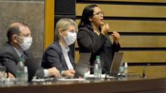 Foto de la galería: Legislatura en sesión: Diputados declararon Monumento Natural Provincial al Vencejo de Cascada