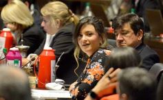 Foto de la galería: Legislatura en sesión: Diputados declararon Monumento Natural Provincial al Vencejo de Cascada