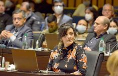 Foto de la galería: Legislatura en sesión: Diputados declararon Monumento Natural Provincial al Vencejo de Cascada