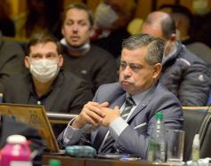 Foto de la galería: Legislatura en sesión: Diputados declararon Monumento Natural Provincial al Vencejo de Cascada