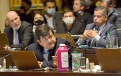 Foto de la galería: Legislatura en sesión: Diputados declararon Monumento Natural Provincial al Vencejo de Cascada