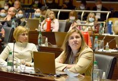 Foto de la galería: Legislatura en sesión: Diputados declararon Monumento Natural Provincial al Vencejo de Cascada