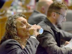 Foto de la galería: Legislatura en sesión: Diputados declararon Monumento Natural Provincial al Vencejo de Cascada