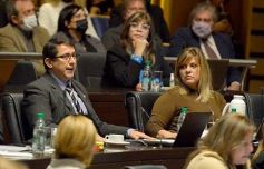 Foto de la galería: Legislatura en sesión: Diputados declararon Monumento Natural Provincial al Vencejo de Cascada