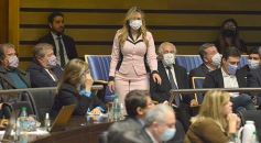 Foto de la galería: Legislatura en sesión: Diputados declararon Monumento Natural Provincial al Vencejo de Cascada