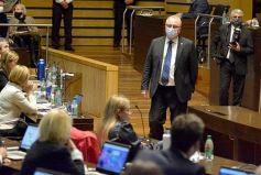 Foto de la galería: Legislatura en sesión: Diputados declararon Monumento Natural Provincial al Vencejo de Cascada