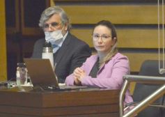 Foto de la galería: Legislatura en sesión: Diputados declararon Monumento Natural Provincial al Vencejo de Cascada