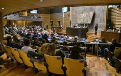 Foto de la galería: Legislatura en sesión: Diputados declararon Monumento Natural Provincial al Vencejo de Cascada